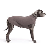 Gold Paw Solid Fleece