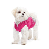 Gold Paw Solid Fleece