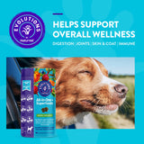 All in One + Superfoods