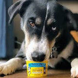 Banana & Peanut Butter Fro Yo