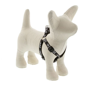 Bling Bonz Harness