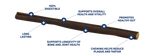 Collagen Stick