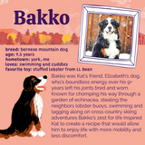 Bakko's Hip & Joint Chews