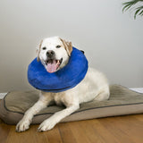 Kong Cloud Protective Collar
