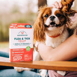 Flea & Tick Collar