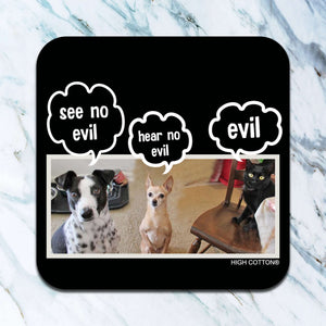 See No Evil Coaster