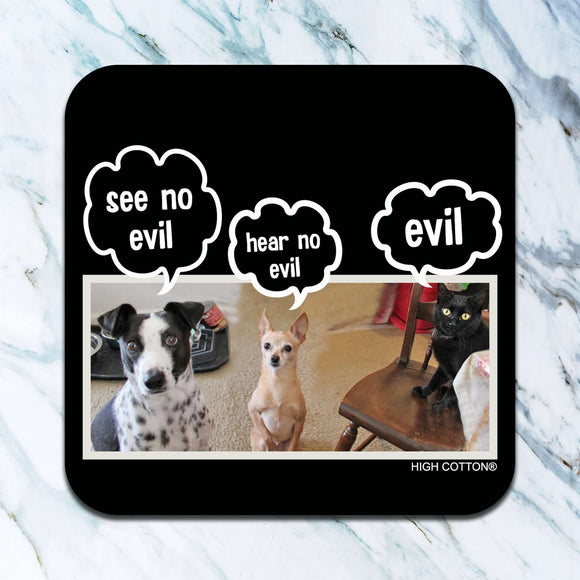 See No Evil Coaster