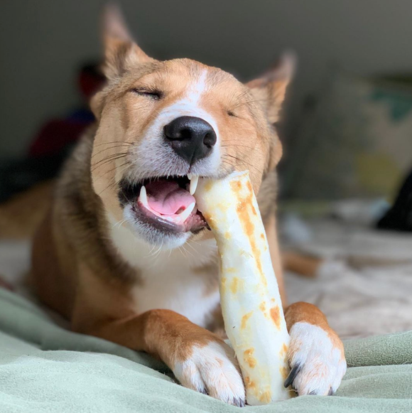 Beef Recipe Dog Chew