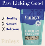Blueberry Coconut Biscuit