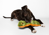 Katie Caterpillar Dog Toy