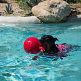Tug N Toss