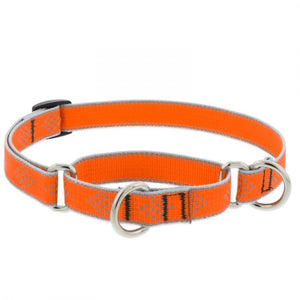 Orange Diamond Martingale