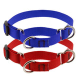 Red Martingale Collar