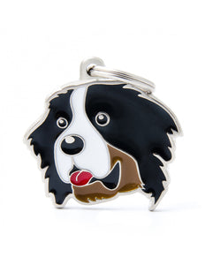 Bernese Mountain Dog