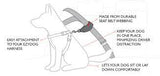 EZ Dog Car Restraint