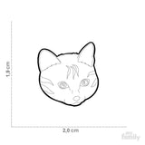 Grey European Shorthair