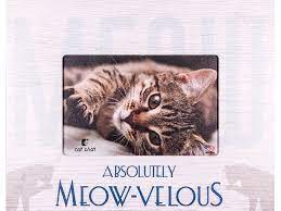 Meow-velous Frame