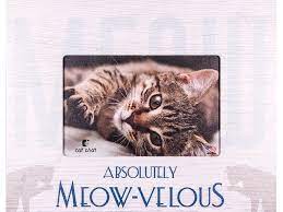 Meow-velous Frame