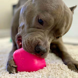 Dawg-Cube