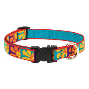 Crazy Daisy Dog Collar