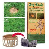 Dog Rocks