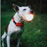 Pixie's Favorite Strobe Ball