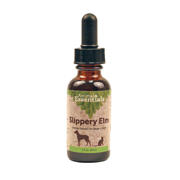 Slippery Elm