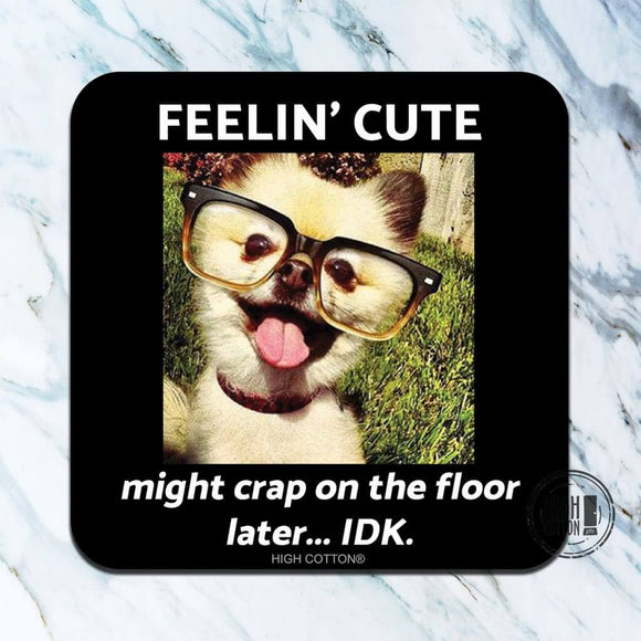 Feelin' Cute Might Crap Coaster