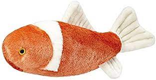 Finn Koi
