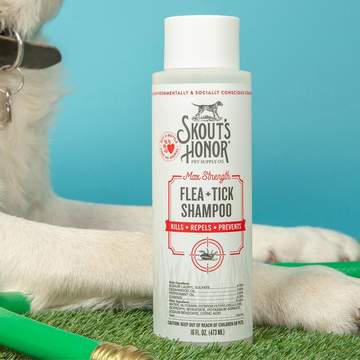 Flea & Tick Shampoo