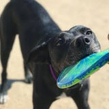 K-9 Flyer