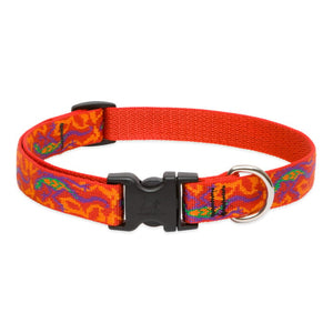 Go Go Gecko Dog Collar