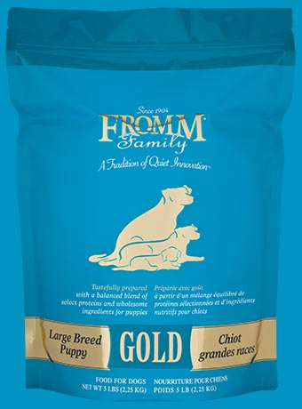 Gold Large Breed Puppy