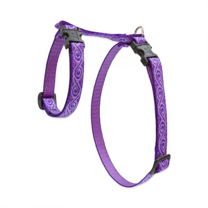 Cat H Harness Jelly Roll