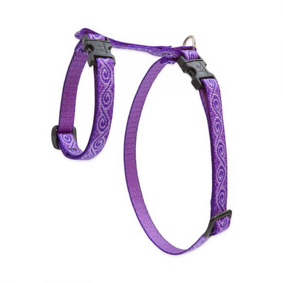 Cat H Harness Jelly Roll