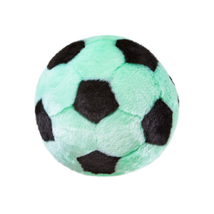 Soccer Ball Dog Toy