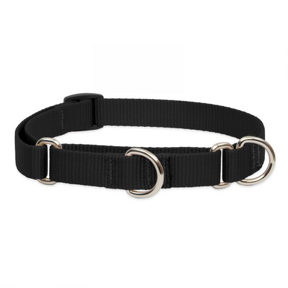 Black Martingale Collar