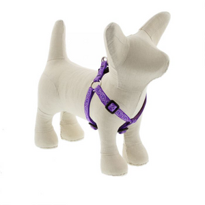 Jelly Roll Harness