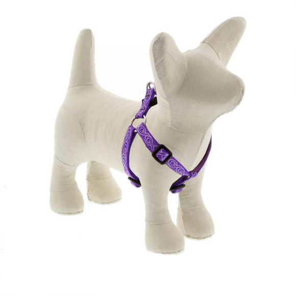 Jelly Roll Harness