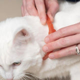 Flea & Tick Collar