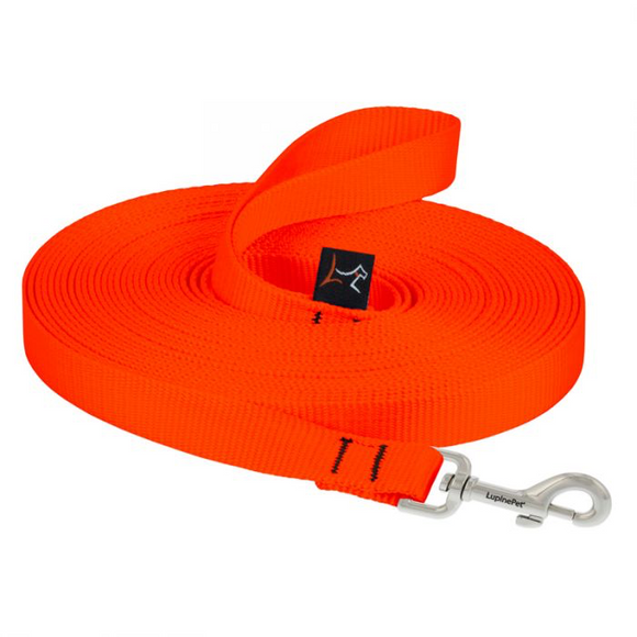 Blaze Orange Training Lead