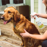 Lemongrass Flea & Tick Spray