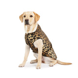 Gold Paw Fleece