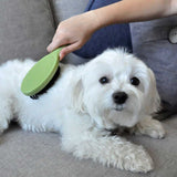 Bristle Brush