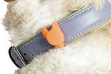 Spunky Pup Safety Light