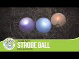 Pixie's Favorite Strobe Ball