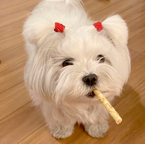 Chicken Recipe Dog & Cat Stix