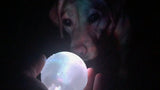 Pixie's Favorite Strobe Ball