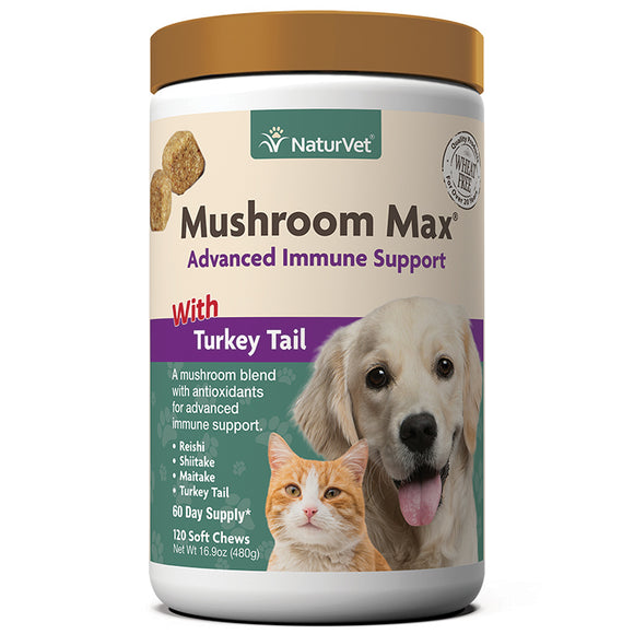 Mushroom Max Advance Immune