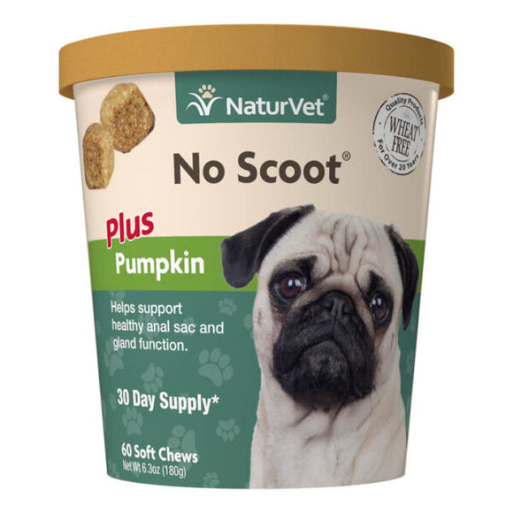 No Scoot Plus Pumpkin soft chew